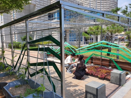 보성군 벌교읍, ‘태백산맥’형상화한 넝쿨식물 터널 조성/사진=보성군