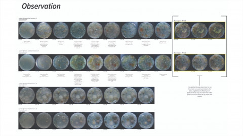 사진=‘디지털+미디어’ 디자인 연구팀이 제안한 ‘토양 속 균사체를 통해 배우는 이상적 토질 환경’ 디자인 프로젝트