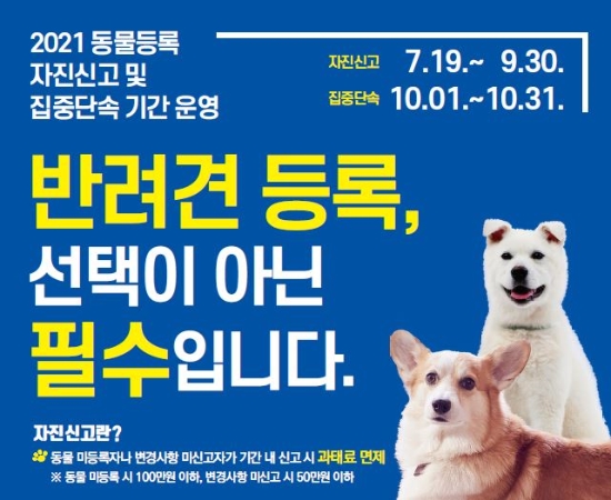 여수시가 오는 9월 30일까지 동물등록 자진신고기간을 한시적으로 운영한다./사진=여수시