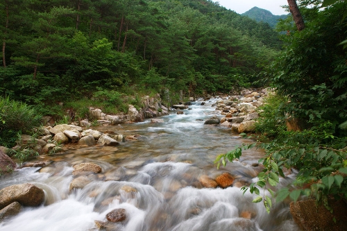 청계동 자연휴식지/사진=곡성군