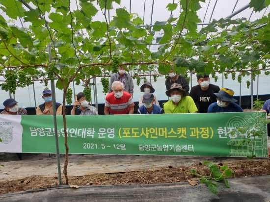 사진=담양군