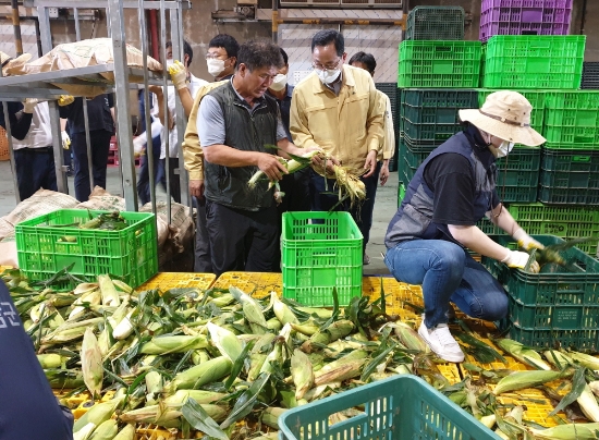 사진=해남군