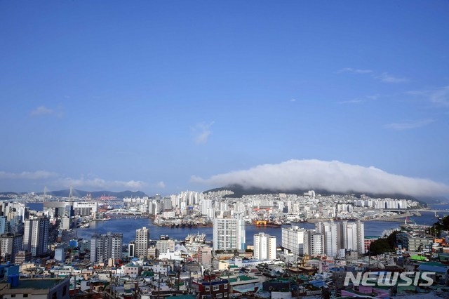 부산지역에 나흘째 폭염주의보가 발효 중인 12일 오후 영도구 봉래산 일대가 짙은 해무가 뒤덮여 장관을 연출하고 있다.