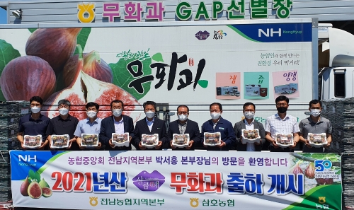 농협전남지역본부는 21일 영암 삼호농협 무화과유통센터에서 2021년산 무화과 출하식을 개최했다/사진=전남농협
