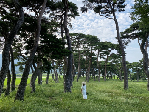 보성군, '삼삼오오 보성 여름 여행지' 선정 발표
