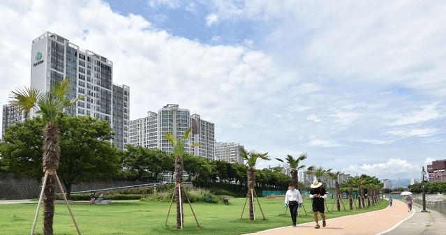 대구 전역에 폭염주의보가 발효된 19일 오후 대구 남구 중동교 아래 신천둔치에 야자수가 식재돼 산책하는 시민들의 눈길을 끌고 있다.