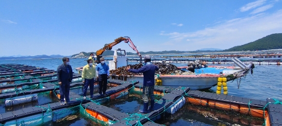사진=완도군