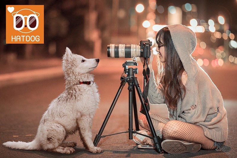 하트독, 애견 카페 포토존에서 댕댕이 인생샷 찍자