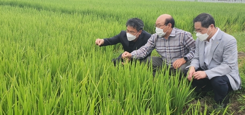벼잎선충방제- 왼쪽부터 박서홍 농협전남지역본부장, 조재원 구례농협 조합장, 현용순 농협 구례군지부장입니다/사진=전남농협