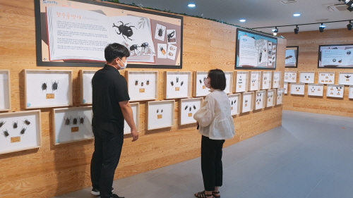 영암군 곤충박물관 내부 전경/사진=영암군