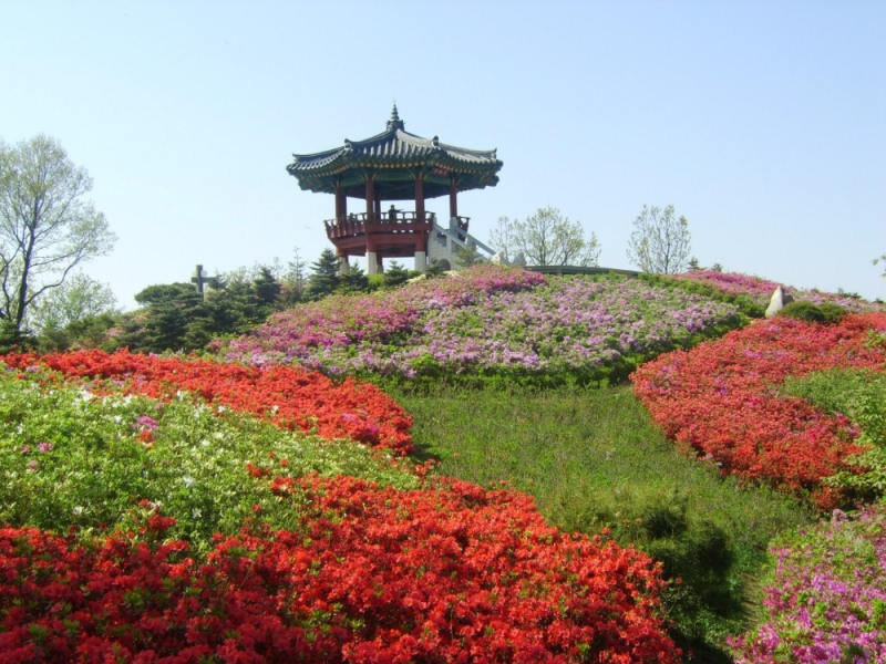 도덕산 철쭉동산.사진=김형운 기자