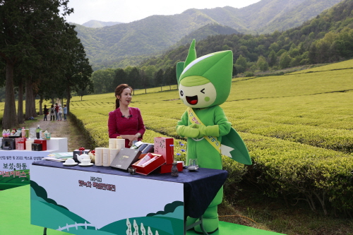 보성군, 라이브커머스 방문객 꾸준히 증가…자리매김 기대