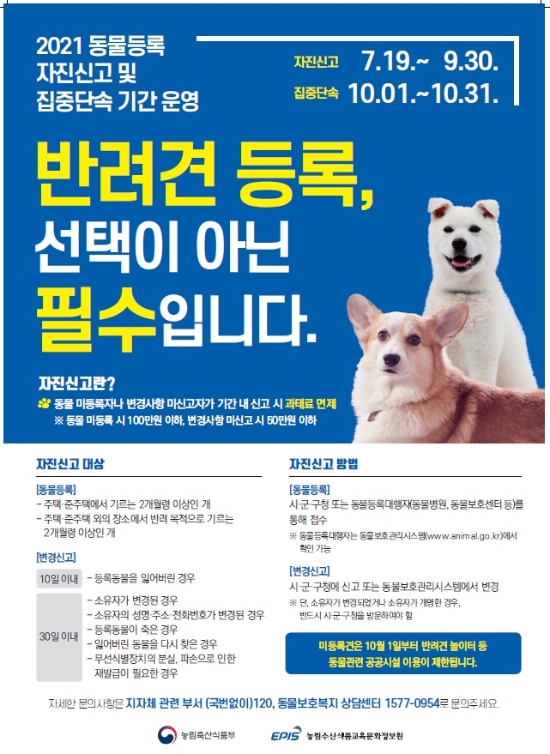 나주시 반려동물 등록제 홍보 포스터./사진=나주시