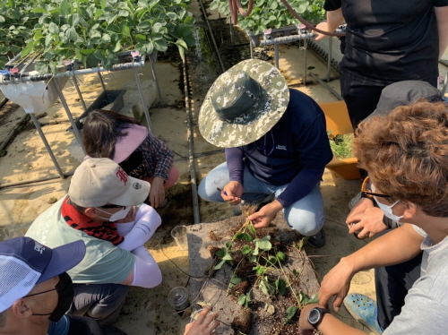 곡성명품농업대학, 딸기 육묘시설 현장교육/사진=곡성군