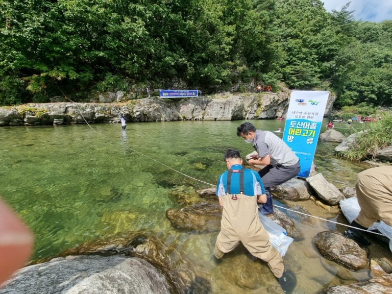 경기도 청정계곡 치어방류장면.사진=경기도제공