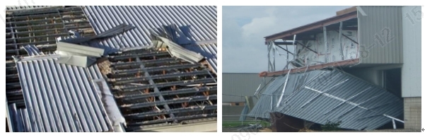 지붕 피해 사례. 사진=삼성화재