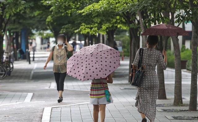 소나기가 내린 지난달 19일 오후 서울 송파구 잠실역 인근에서 시민들이 우산을 쓰고 이동하고 있다.