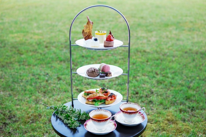 THE WE, 청정 숲속 여유로운 오후