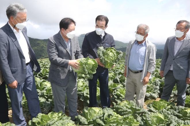 ( 왼쪽부터) 농협경제지주 하명곤 판매유통본부장, 강릉농협 최장길 조합장, 농협중앙회 이성희 회장, 강원도 무배추 공동출하협의회 김시갑 회장, 강릉원예농협 박만수 조합장