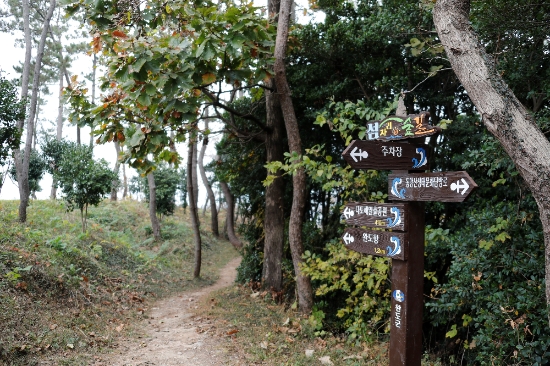 사진=완도군