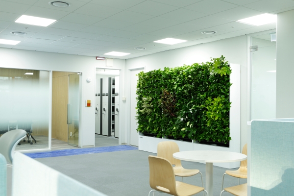 맑음팩토리, 휴온스그룹 신사옥에 그린오피스 환경 조성