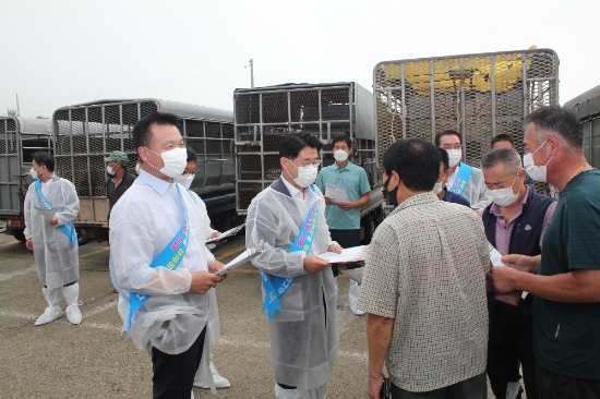 전라남도는 추석을 앞두고 나주, 무안, 2개 가축시장에서 27일까지 2일간 ‘소 브루셀라병 청정화 동참 홍보 캠페인’을 펼쳤다./사진=전라남도