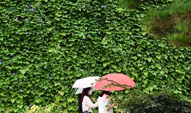 가을장맛비가 내린 지난 25일 경기도 수원시청에서 시민들이 우산을 쓰고 그린월 앞을 지나가고 있다.