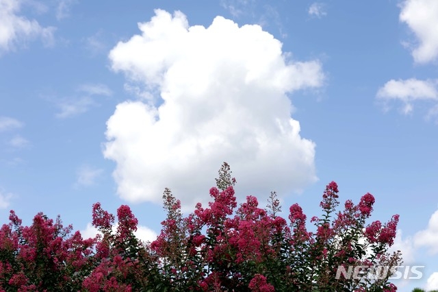 [날씨} 대전·충남·세종, 주말 일교차 10도 이상…낮 27~29도