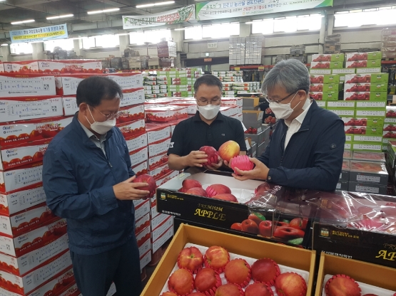 농협경제지주 장철훈 농업경제대표이사(사진 오른쪽)가 13일 구리공판장에서 사과 가격동향에 대한 설명을 듣고 있다./사진 제공 = 농협경제지주
