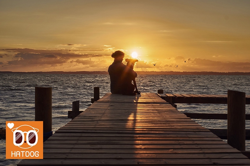 하트독, 바다뷰 애견동반 맛집 추천