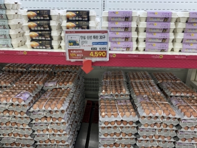 사진 제공 = 농협