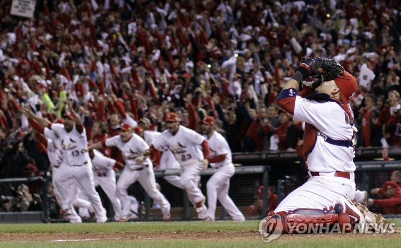 2011 월드시리즈에서 우승한 세인트루이스 선수들이 환호하고 있다.
