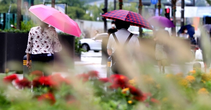 가을비가 내린 지난 6일 오후 서울 중구 청계광장에서 우산을 쓴 시민들이 화단에 핀 수크령과 백일홍 사이를 지나고 있다. 