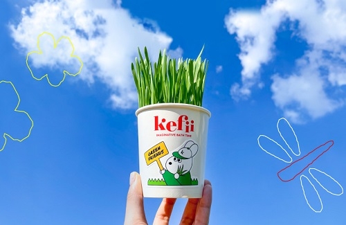 케피, ‘새싹보리 키우기’ 키트 증정 이벤트 진행