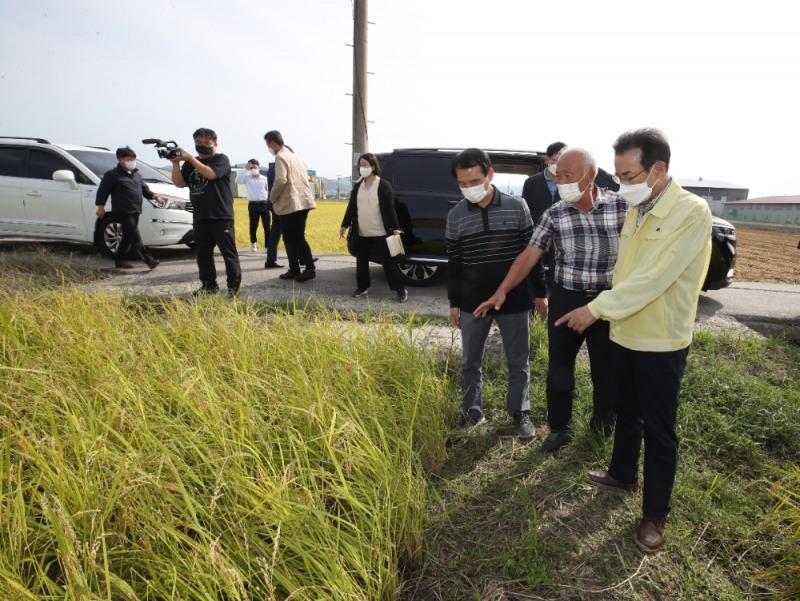 이성희 농협중앙회장(맨오른쪽)이 3일 신기영 안성 서운농협 조합장(가운데)과 함께 경기 안성시 미양면 소재 논에서 강풍과 우박으로 인한 벼 탈립피해를 살펴보고 있다. / 사진 = 농협중앙회