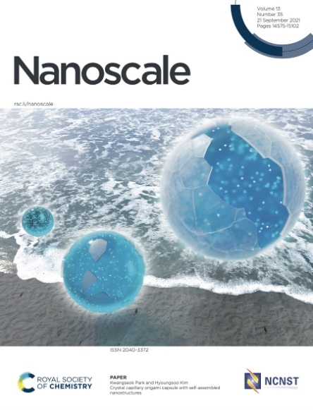 KAIST, "소금 결정화 프로세스 제어 통해 자가조립 나노캡슐 개발"