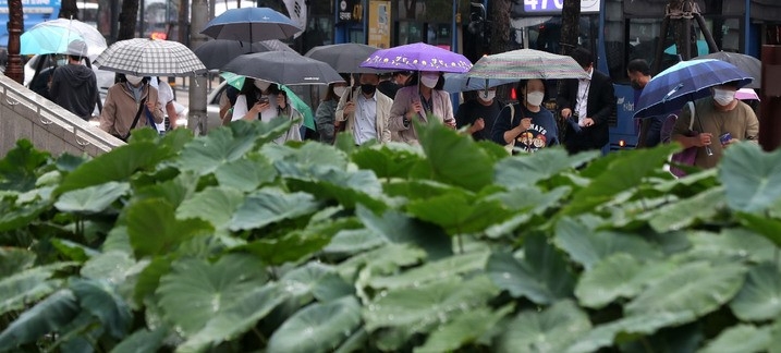 가을비가 내린 6일 오전 서울 중구 농업박물관 앞에서 우산을 쓴 시민들이 출근을 하고 있다.
