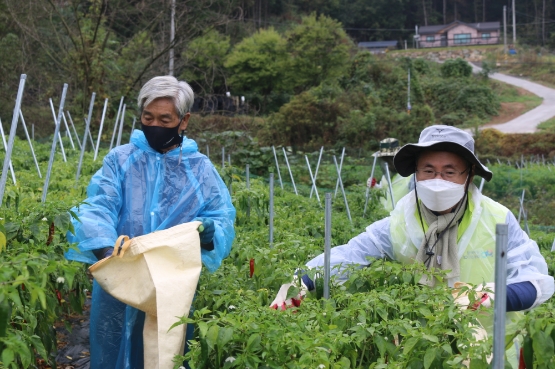 농협중앙회 김현우 IT전략본부장(오른쪽)을 비롯한 임직원/사진 제공 = 농협중앙회