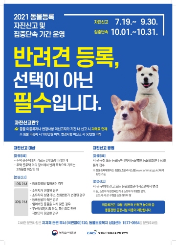 경남 창녕군, 미등록 반려동물 집중단속 기간 운영
