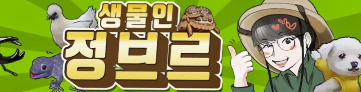 정브르, 32주차 주간조회수 172만…동물 인기 4위