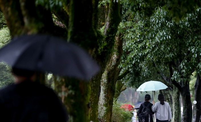 가을비가 촉촉히 내린 12일 오후 제주대학교 교정에서 우산을 쓴 학생들이 걸어가고 있다.