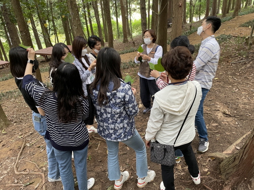 전남 장흥군, 산림치유 힐링프로그램 운영