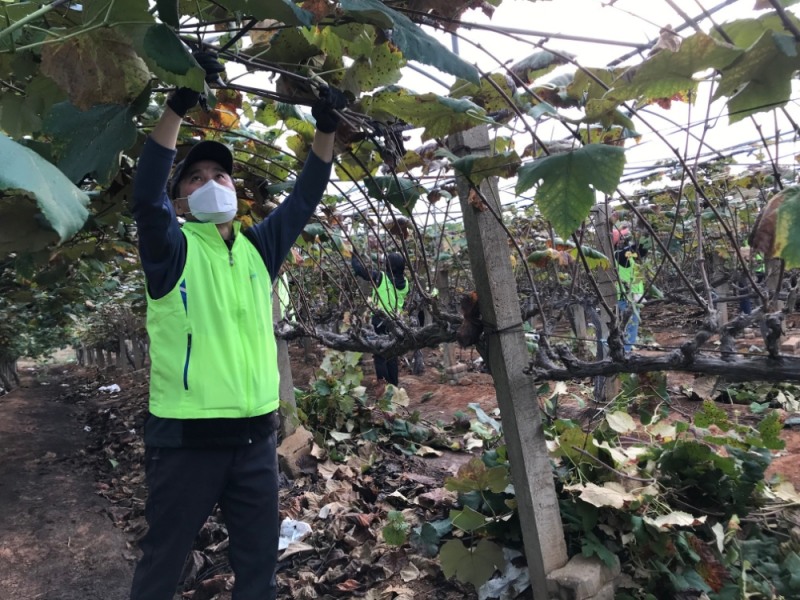 사진 제공 = 농협