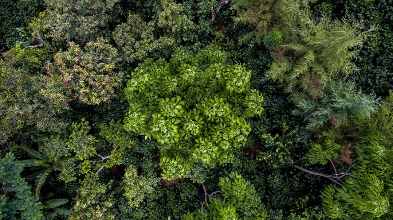 대세가 된 ESG 경영, 그 이전부터 ESG를 실천해 온 브랜드