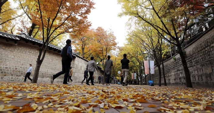 완연한 가을날씨를 보인 지난 1일 오후 시민들이 단풍으로 물든 서울 중구 덕수궁 돌담길을 지나고 있다. 