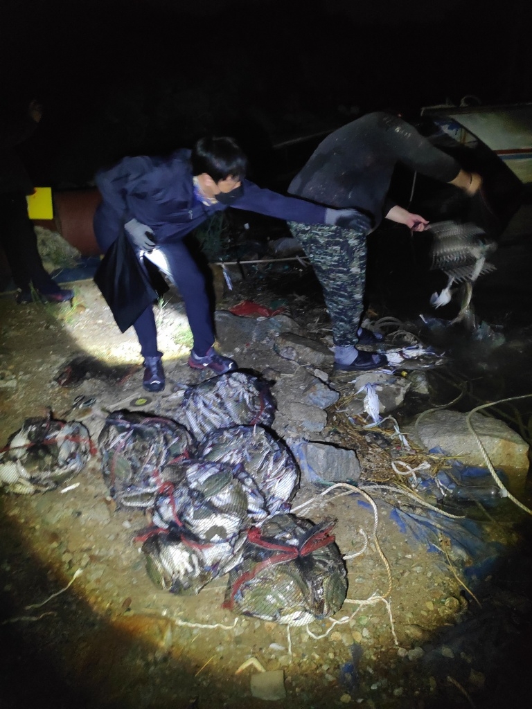 경기도 직원들이 시화호에서 불법어획물을 방류하고 있다.사진 경기도제공