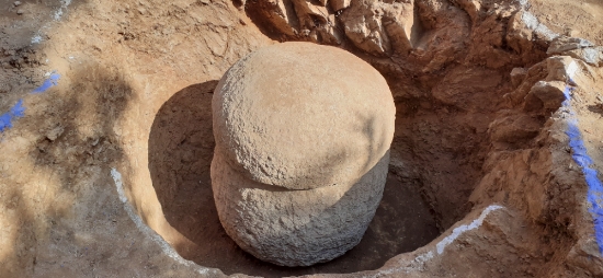 태함 모습