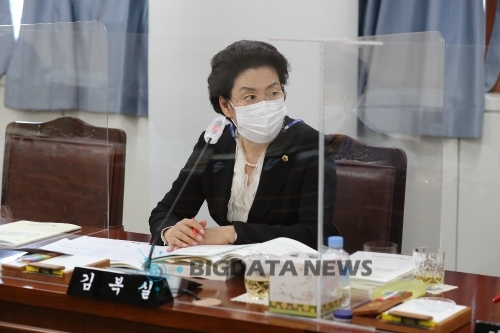 전남도의회 김복실 의원(민생당·비례) 행감 모습/사진=전남도의회