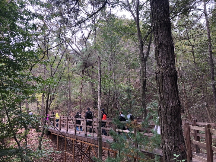 대전특수교육원, '우리 가족 숲에서 톡!톡!톡!(talk)' 가족체험 프로그램 운영