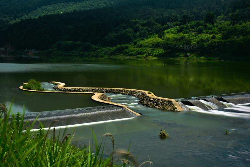 제4회 어도사진 공모전 대상을 수상한 최원재 씨의 '어도의 생태' 사진=한국농어촌공사